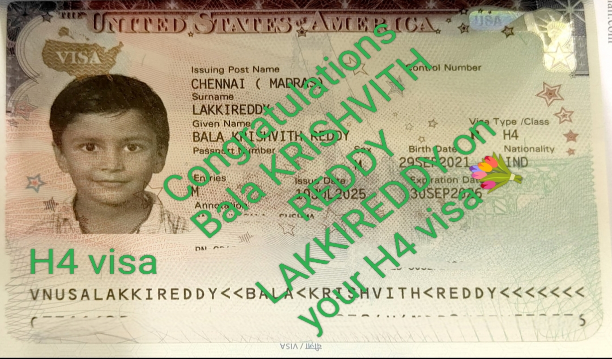 Visa approval 28