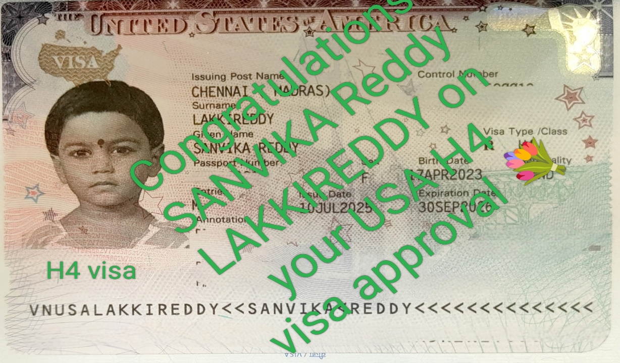 Visa approval 29