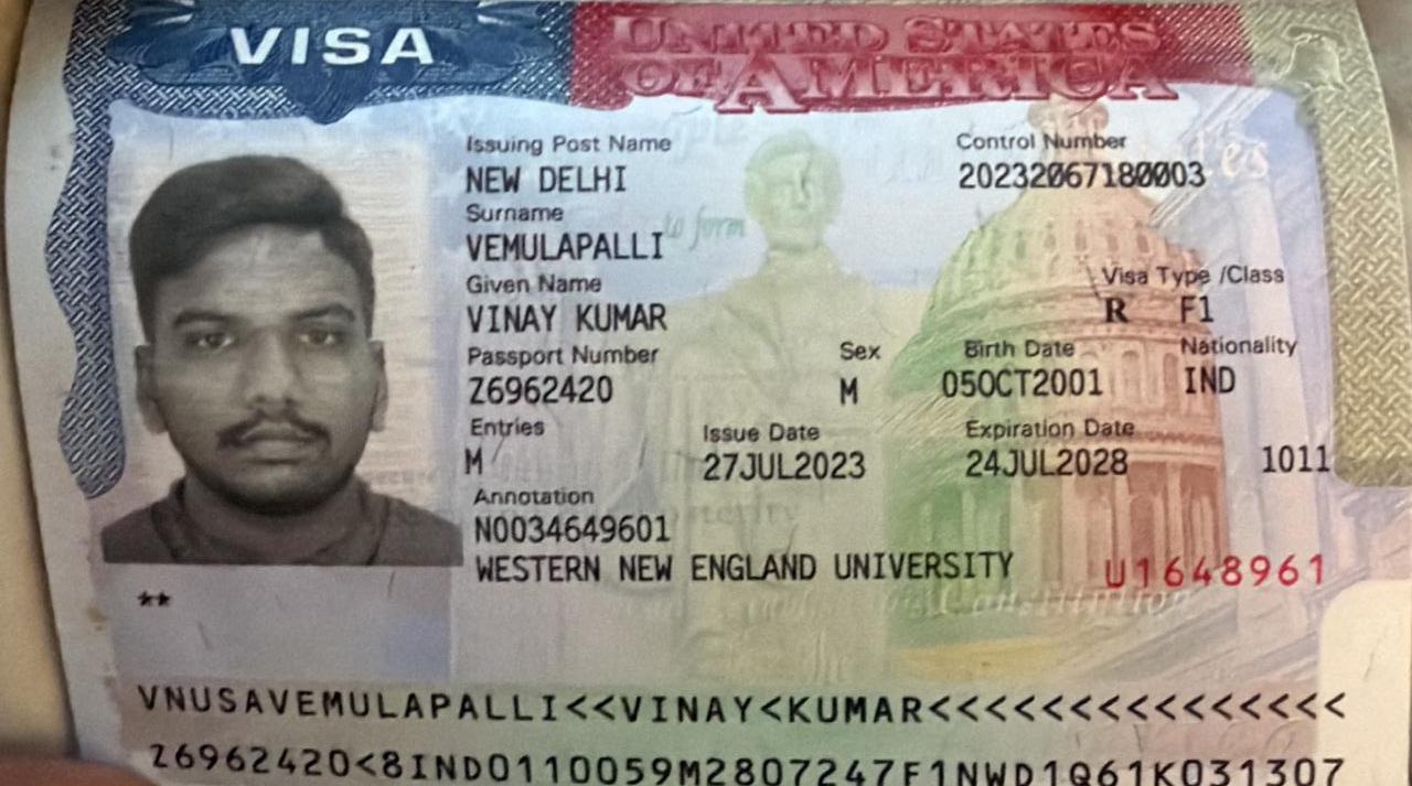 Visa approval 3