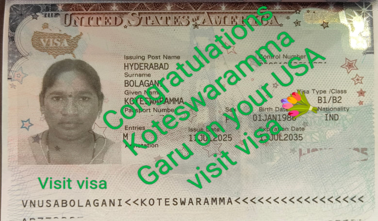 Visa approval 33
